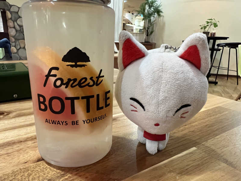 ルトさんの天然温泉コロナの湯 安城店のサ活写真