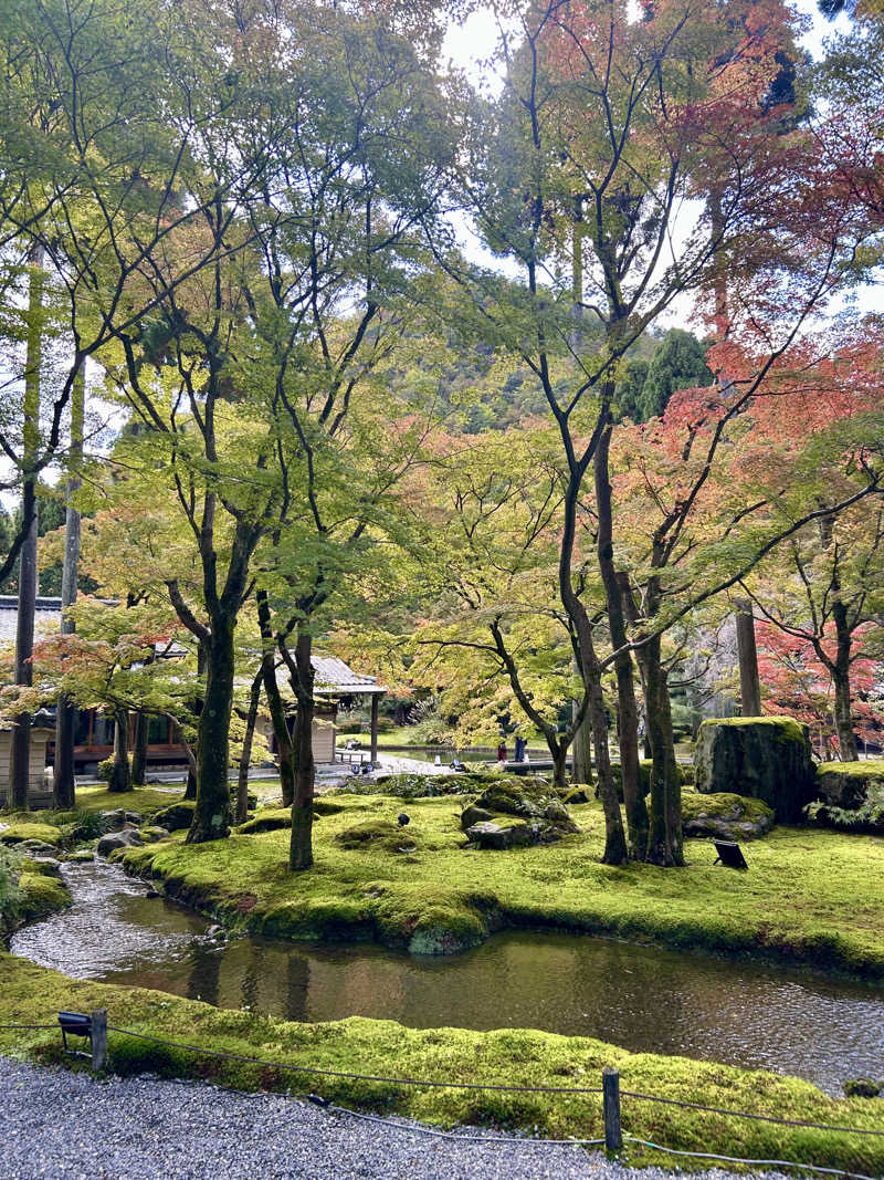 ケロリンさんの東急ハーヴェストクラブ京都鷹峯(ホテルハーヴェスト京都鷹峯)のサ活写真