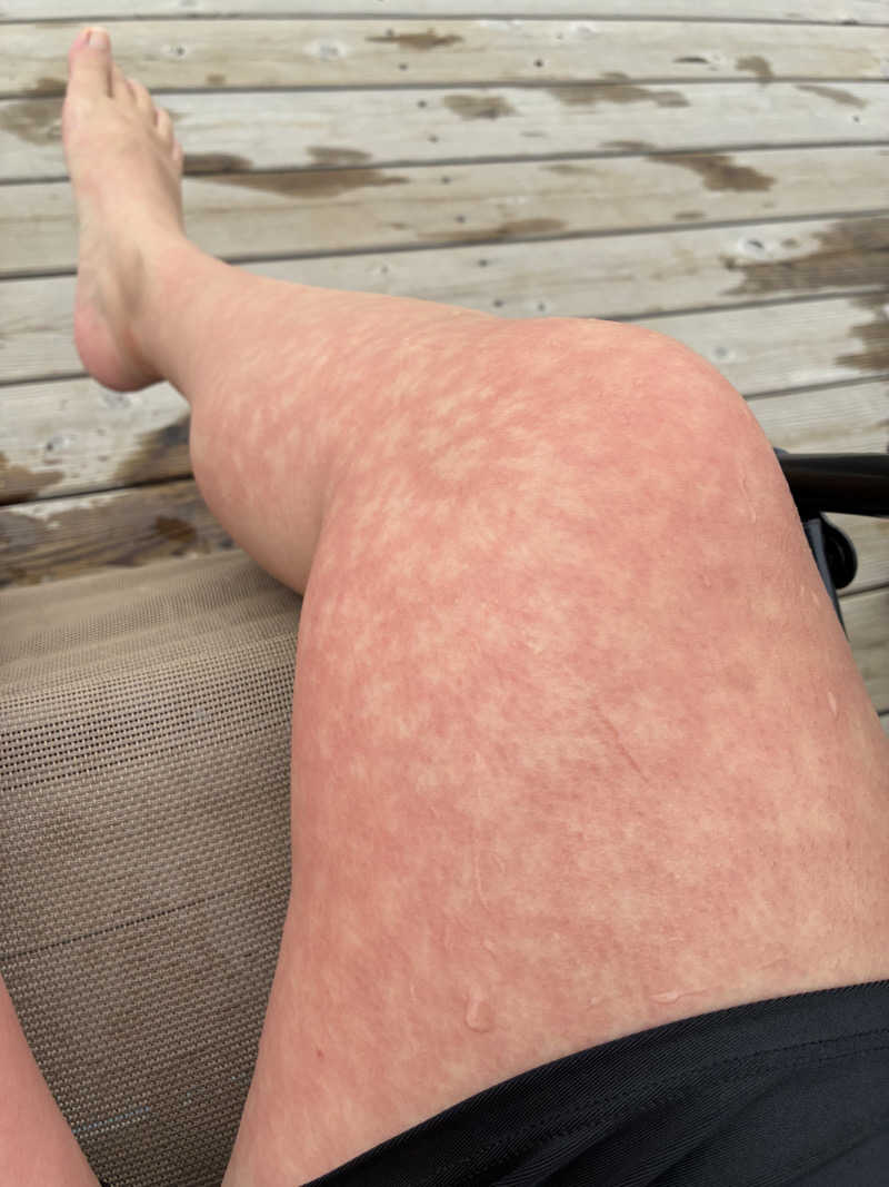 @サウナ.レイカ女性も行けるサウナでサ活さんのタスサウナのサ活写真