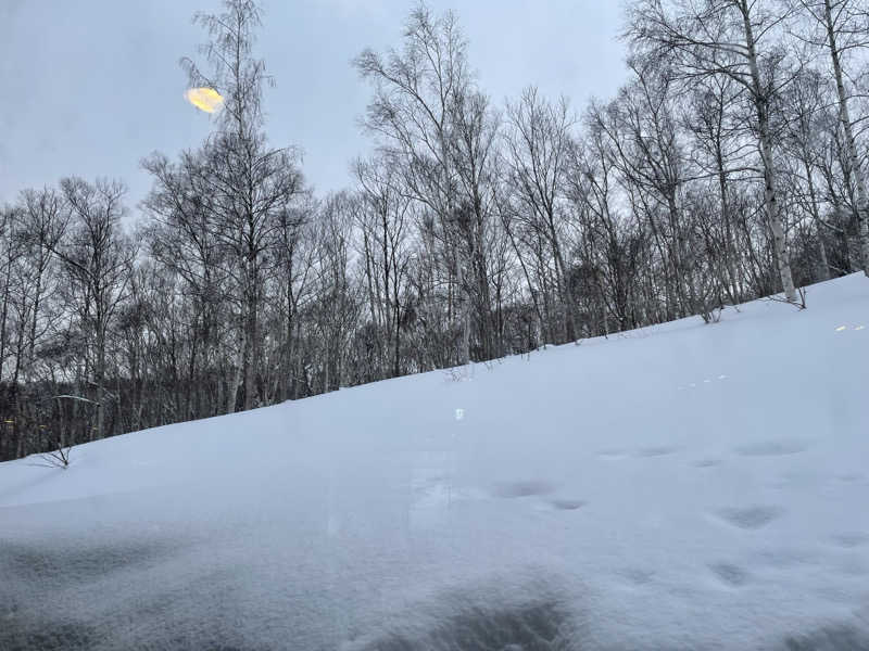 モリゾーさんのワンニセコリゾートタワーズ/ONE NISEKO RESORT TOWERSのサ活写真