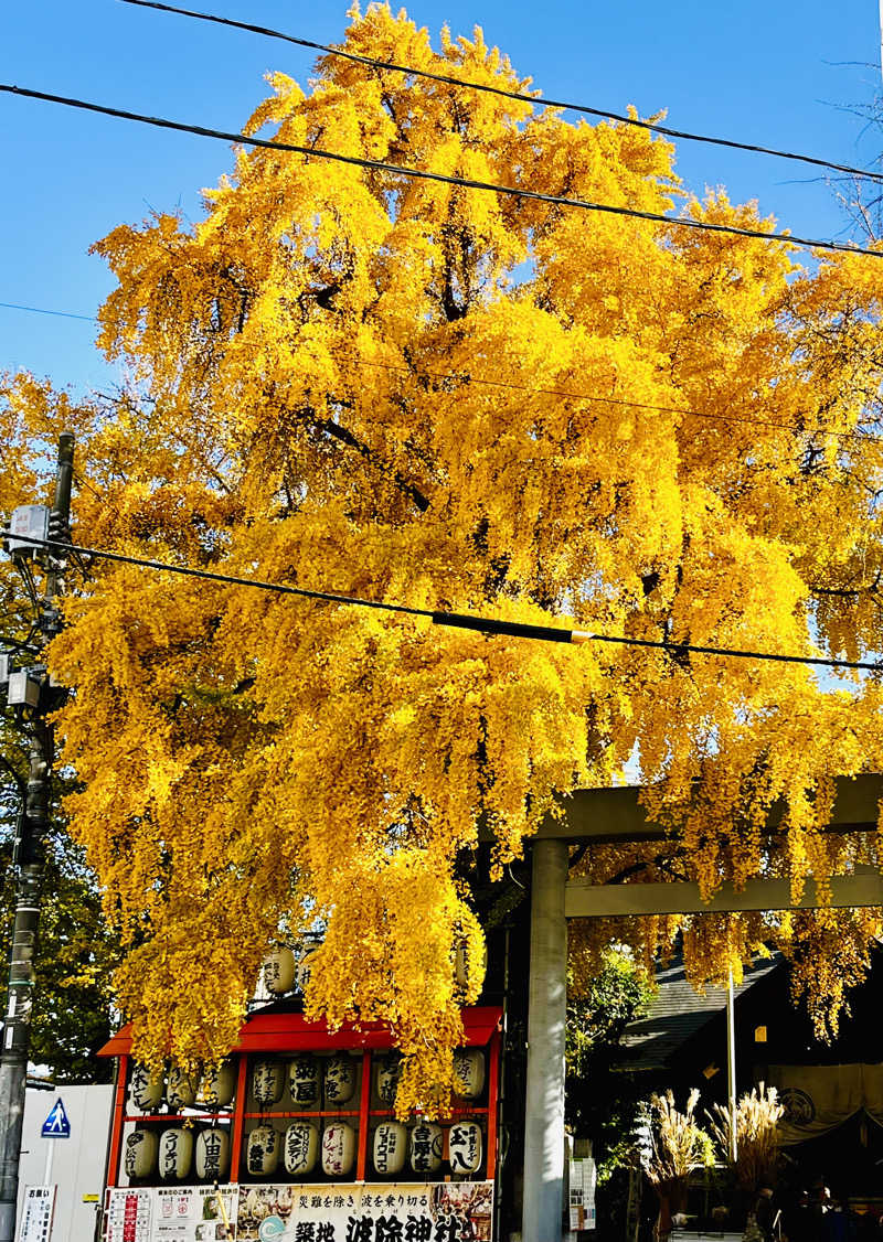 カンちゃんさんのトーセイホテル ココネ築地銀座プレミアのサ活写真