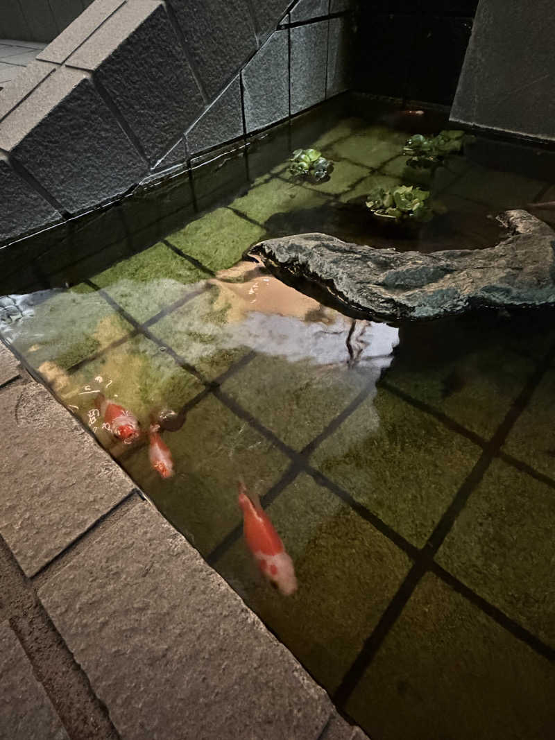 アボさんのぽかぽか温泉 新守山乃湯のサ活写真