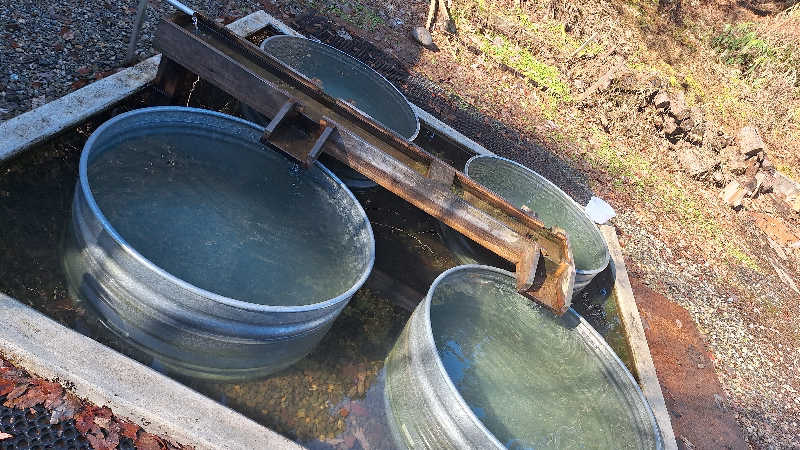 ララルルさんのOJIYA SAUNA DENのサ活写真