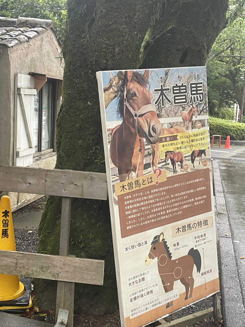 とんこさんの御殿場高原 天然温泉 茶目湯殿のサ活写真