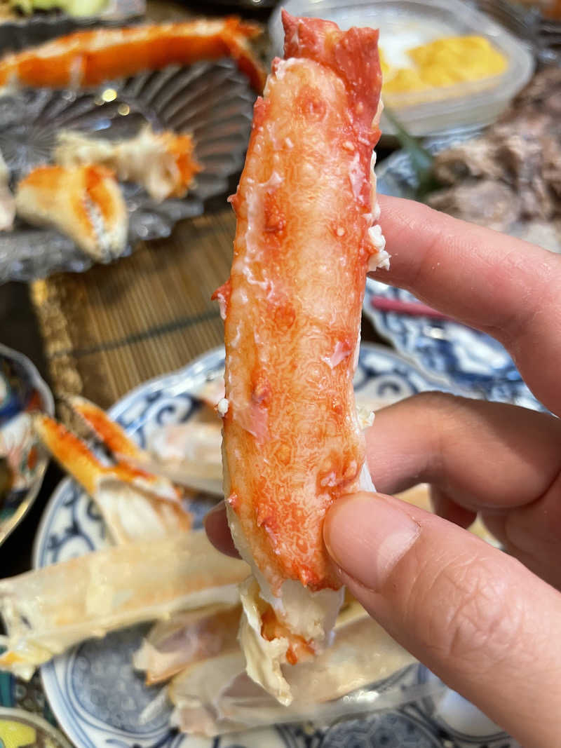とんこさんの綱島源泉 湯けむりの庄のサ活写真