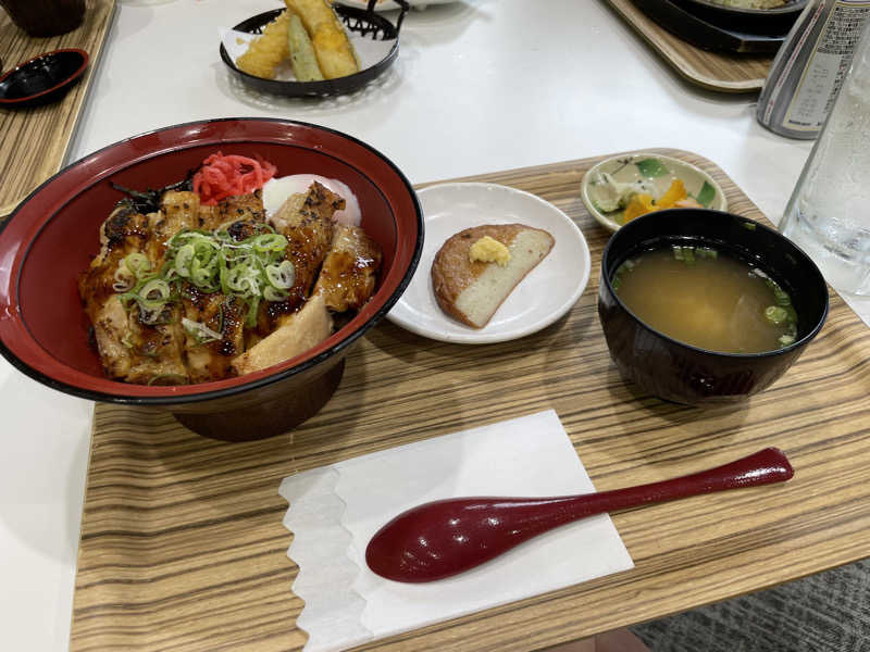 とんこさんの榛名の湯 ドーミーイン高崎のサ活写真