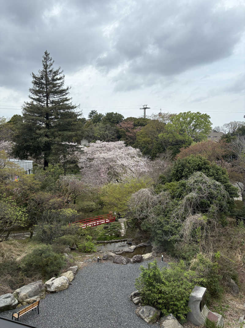 iさんのよみうりランド眺望温泉 花景の湯のサ活写真