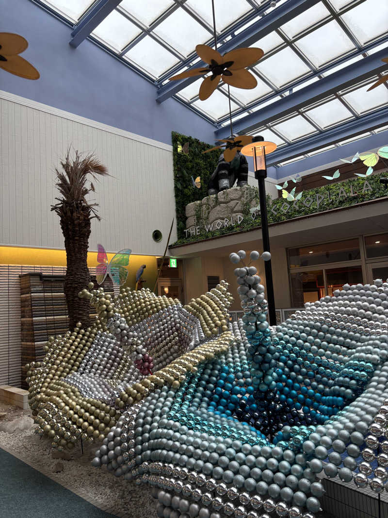 ととのイップス中さんの岩盤温浴リゾート ココプララのサ活写真