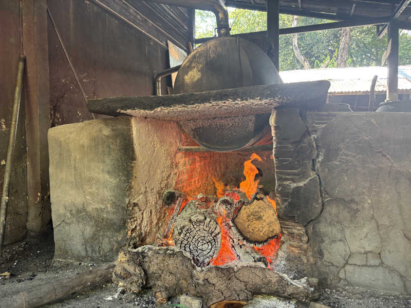 Saunaddictモモンガさんのอบสมุนไพรวัดหนองปลาปาก (ワット・ノーンプラーパーク薬草スチームサウナ)のサ活写真