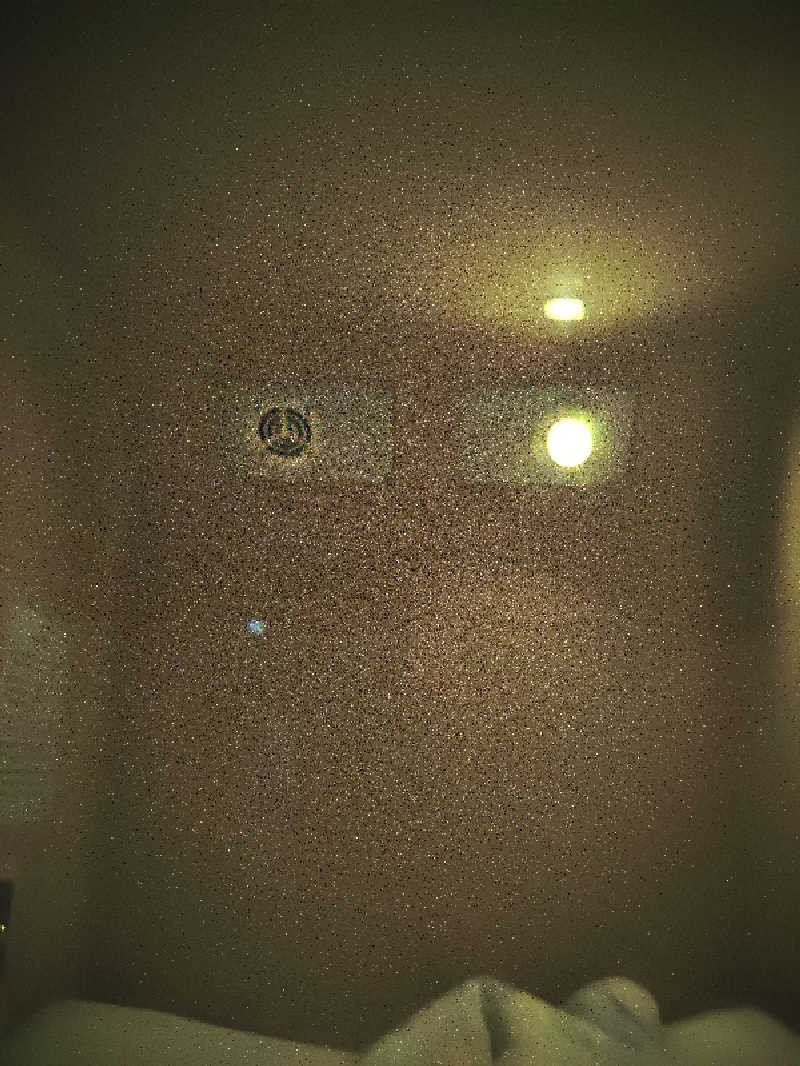 LINDBERGさんのゴールデンタイム高松のサ活写真