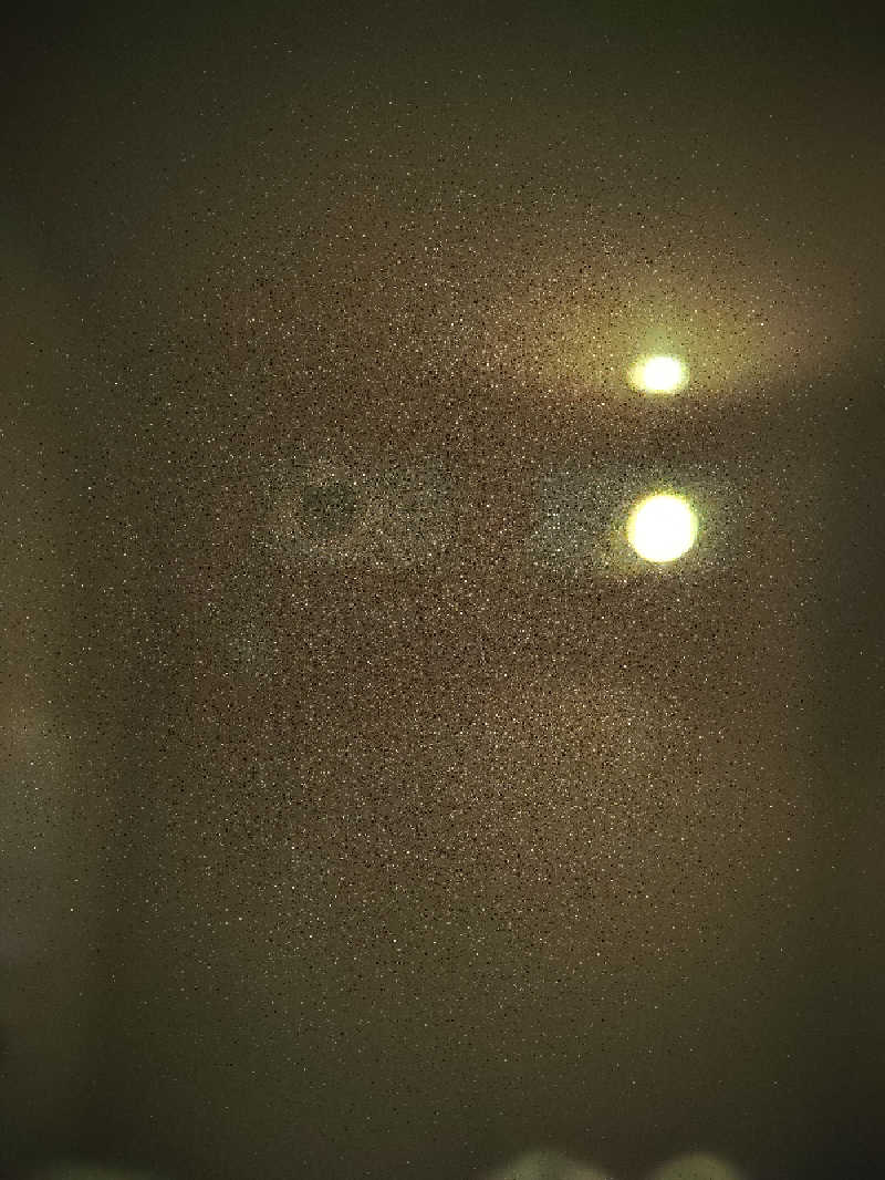 LINDBERGさんのゴールデンタイム高松のサ活写真