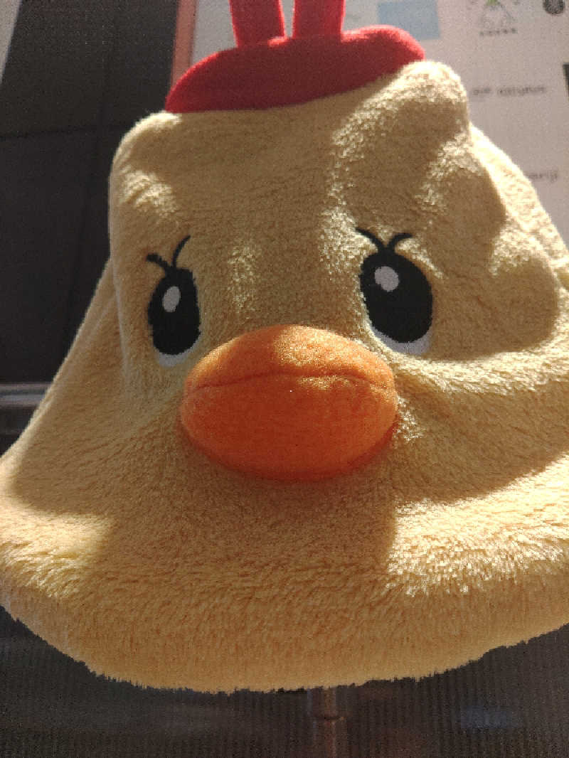 LINDBERGさんのゴールデンタイム高松のサ活写真