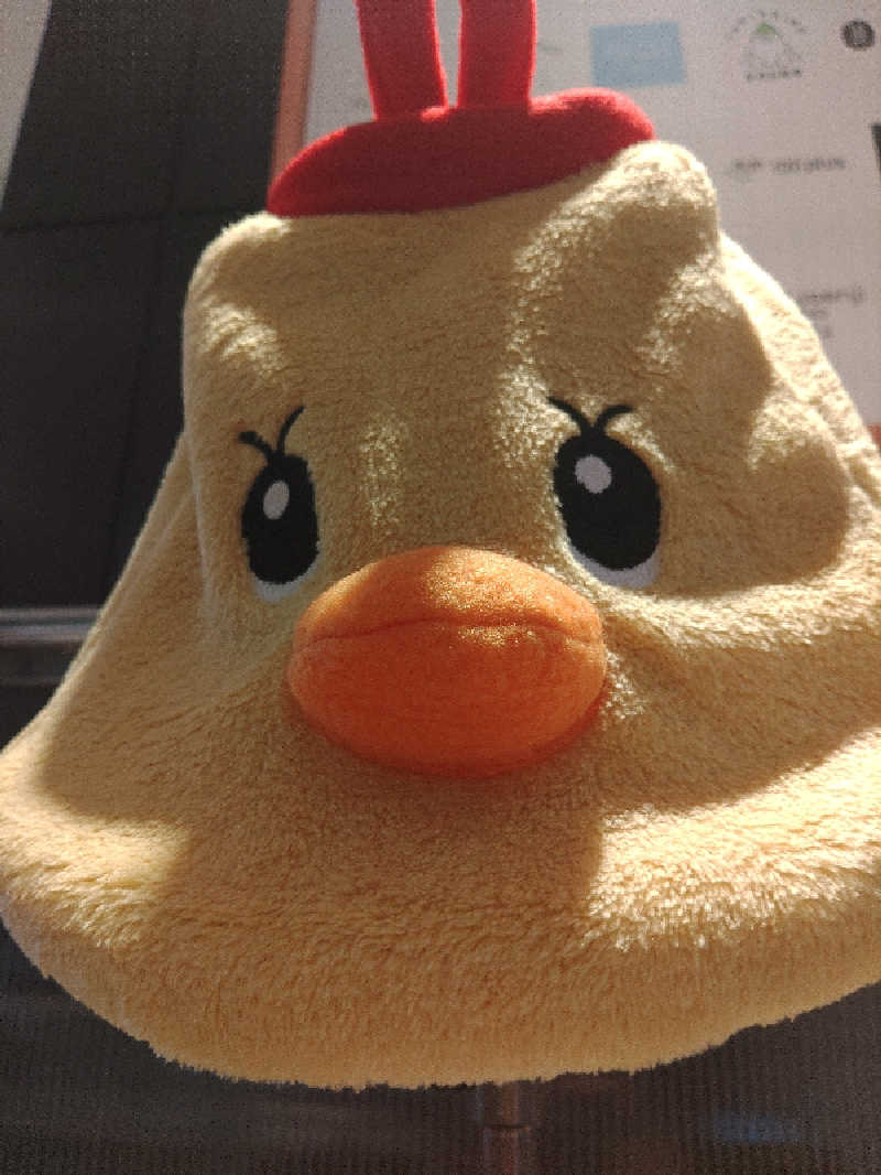 LINDBERGさんのゴールデンタイム高松のサ活写真