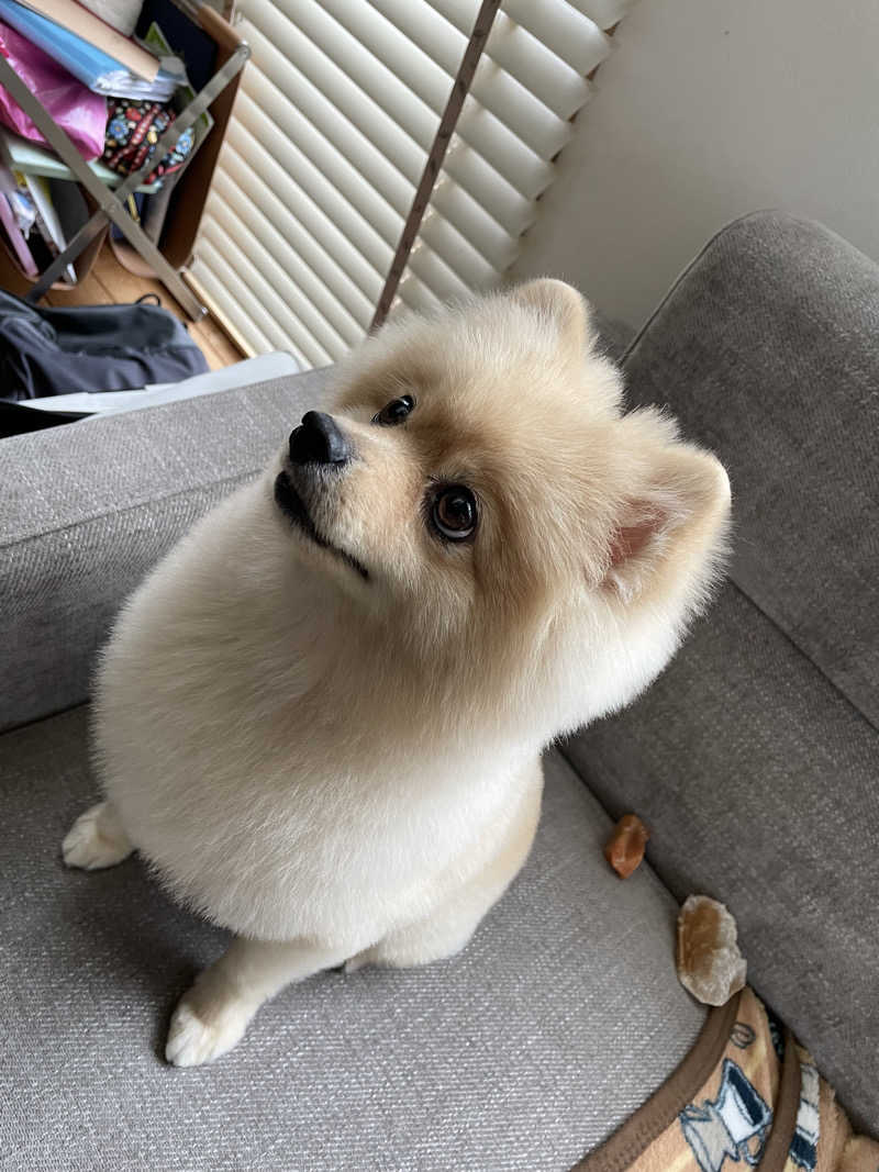 ネクステージさんの恵庭温泉ラ・フォーレのサ活写真