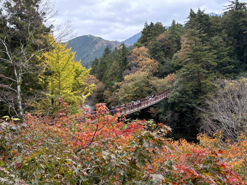 ふなさんの秋川渓谷 瀬音の湯のサ活写真