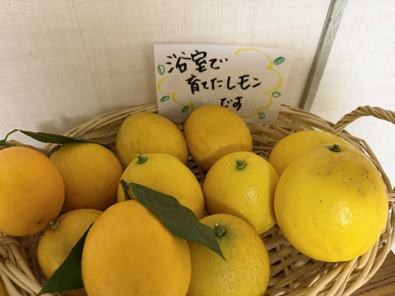 チャーミーさんの平田温泉のサ活写真