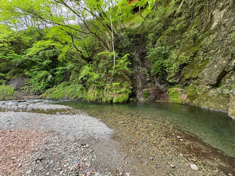 蒸しカッパさんの東部森林公園 ほうれんぼうの森キャンプ場のサ活写真