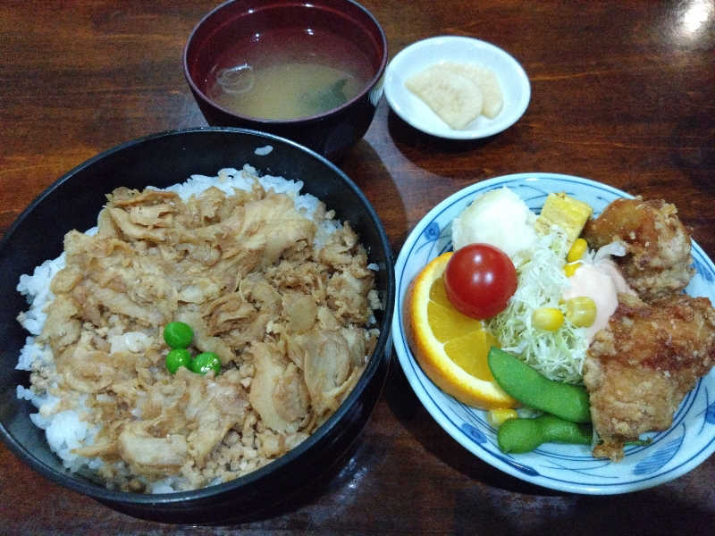 パンダ・リ―さんの天然温泉 ホテル光南のサ活写真