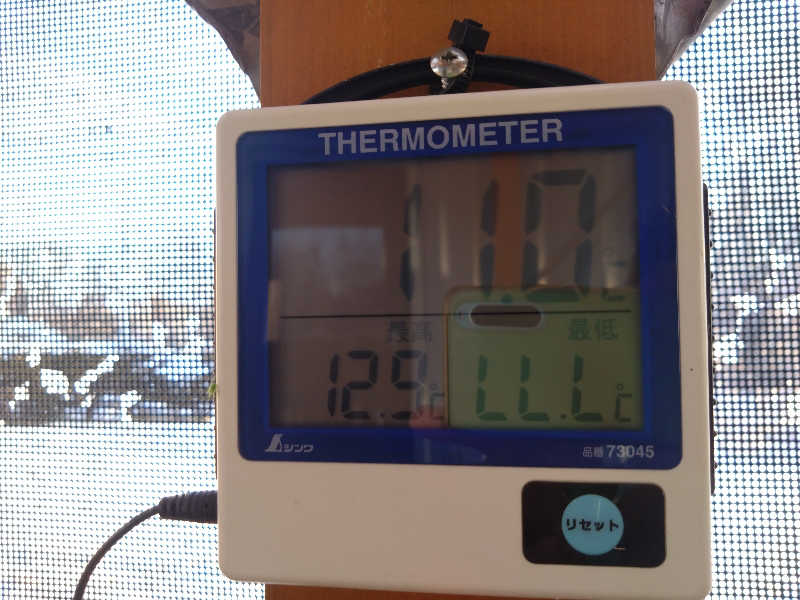 パンダ・リ―さんのホテルクテクンのサ活写真