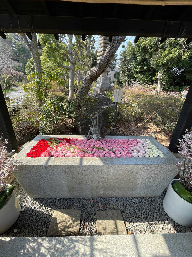 池田ともぞうさんのよみうりランド眺望温泉 花景の湯のサ活写真