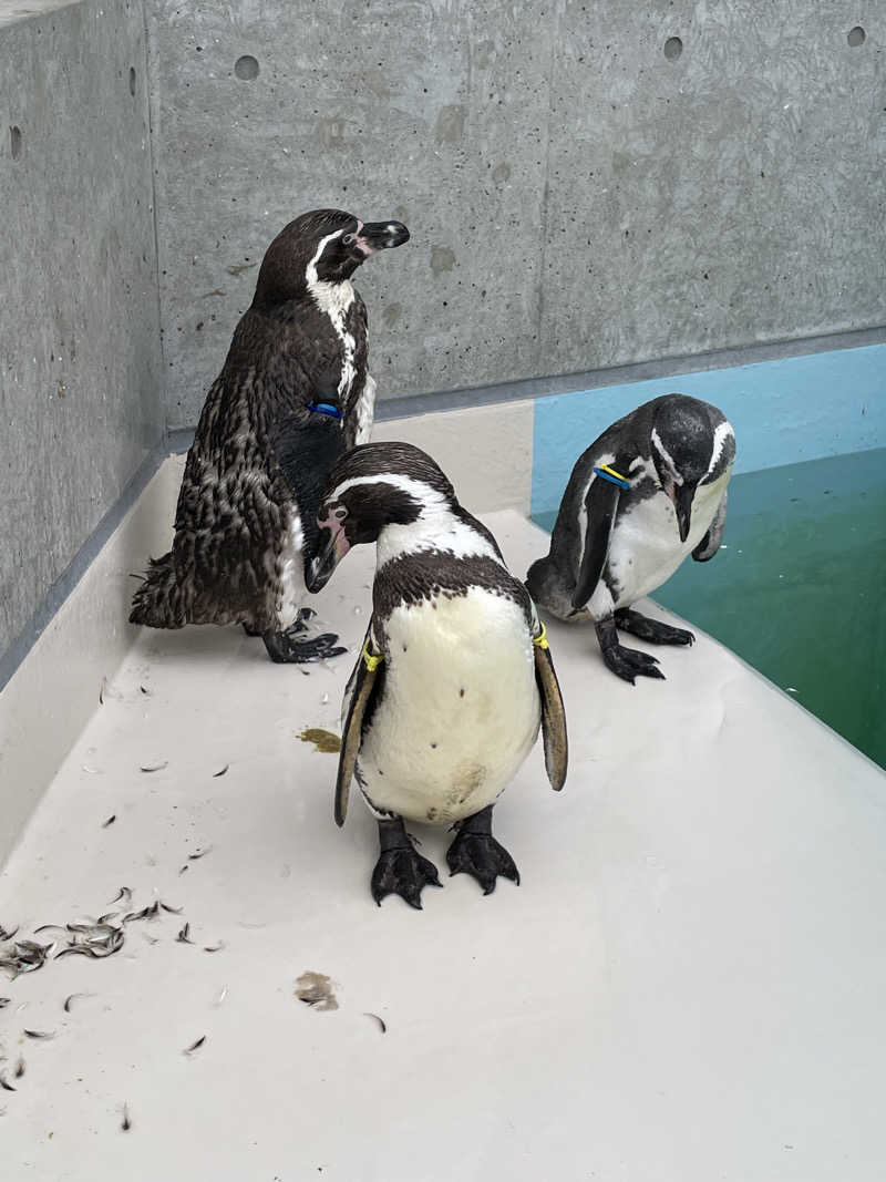 池田ともぞうさんのかんなの湯のサ活写真