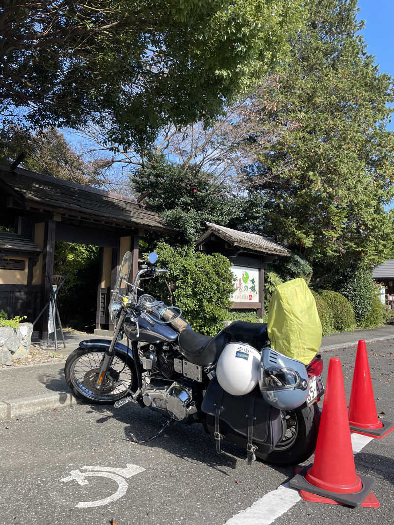 池田ともぞうさんの深谷花園温泉 花湯の森のサ活写真