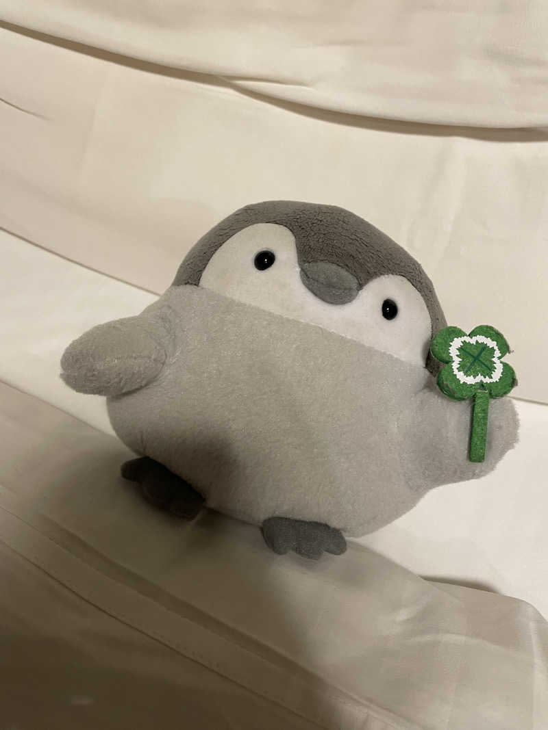 池田ともぞうさんの天然温泉 浪華の湯 ドーミーイン大阪谷町のサ活写真