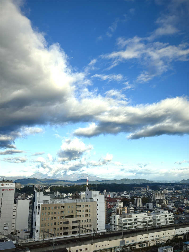 junjunさんのカンデオホテルズ 宇都宮のサ活写真