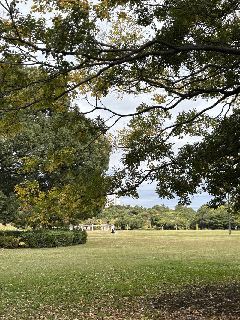 junjunさんのJFA夢フィールド 幕張温泉 湯楽の里のサ活写真