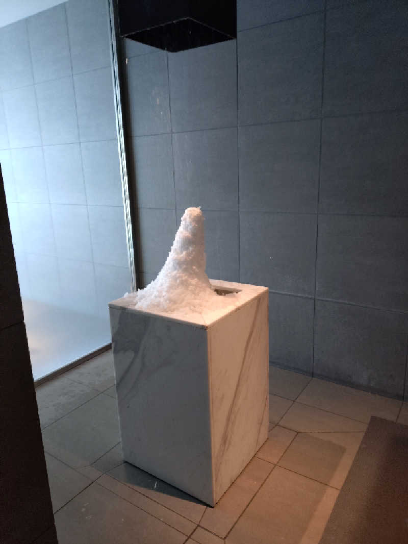 ホーリーさんの大磯プリンスホテル THERMAL SPA S.WAVEのサ活写真