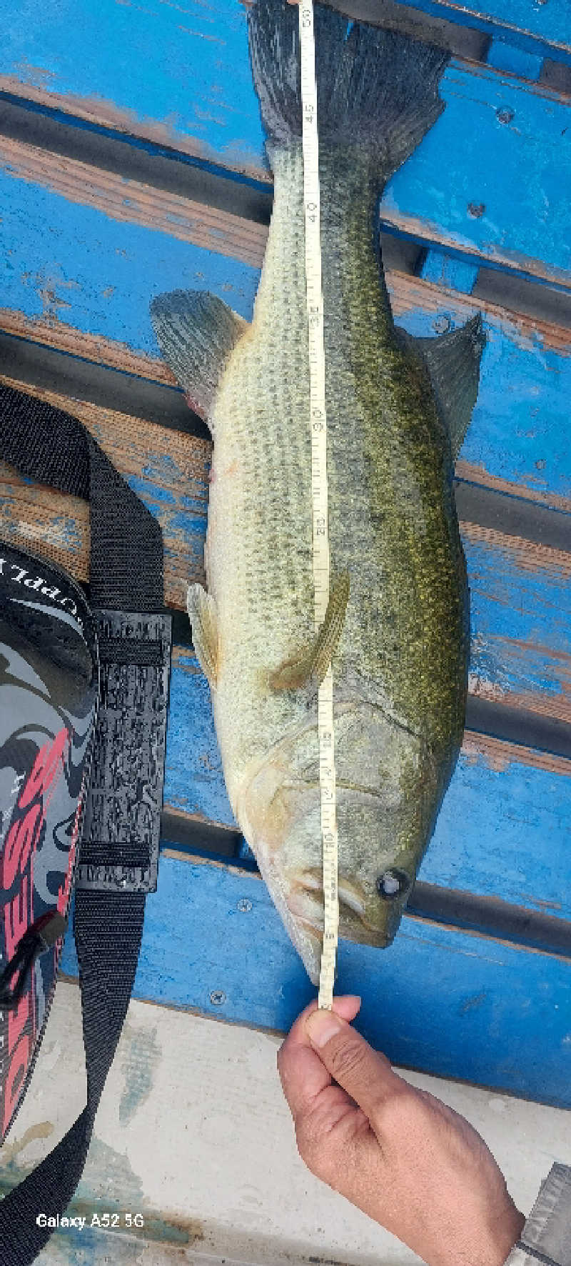 KUNI16さんの寺尾の湯のサ活写真