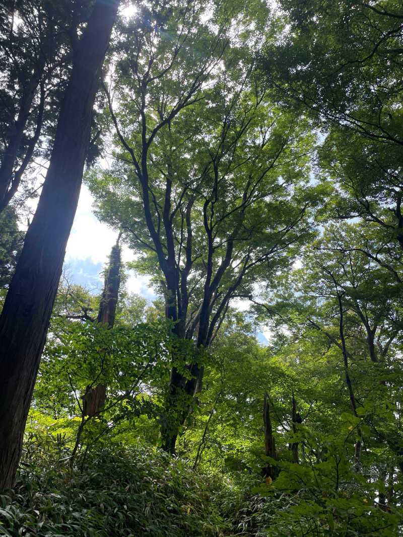 SHIMAさんの七福温泉のサ活写真