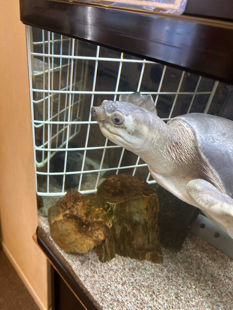りっちゃさんの松本湯のサ活写真