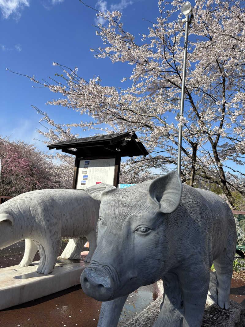 きょんさんのおおがわら天然温泉 いい湯のサ活写真