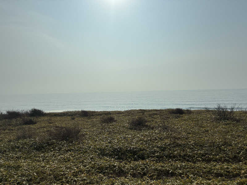 Jazzunaさんの晩成温泉のサ活写真