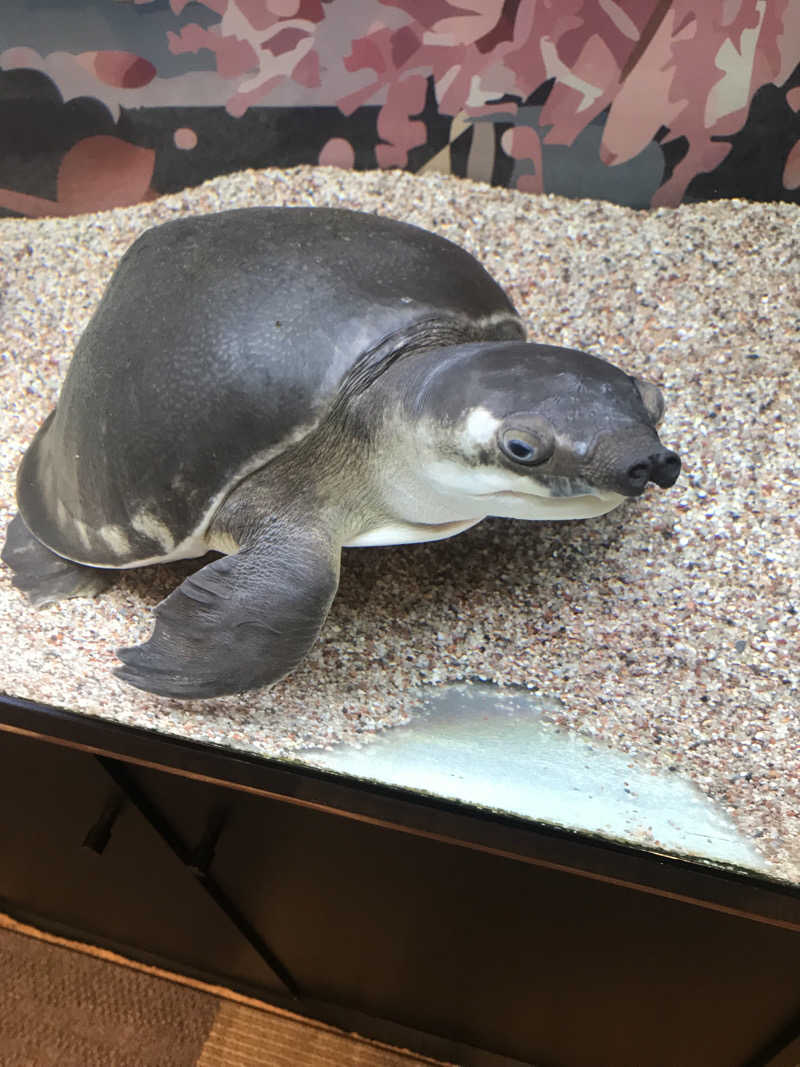 マさんの松本湯のサ活写真