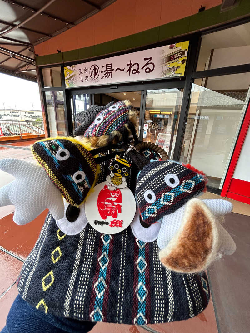 ひぃちゃんさんの天然温泉 湯～ねるのサ活写真