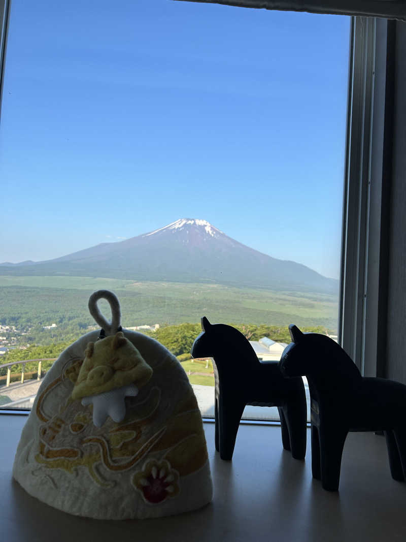 ひぃちゃんさんのホテルマウント富士のサ活写真