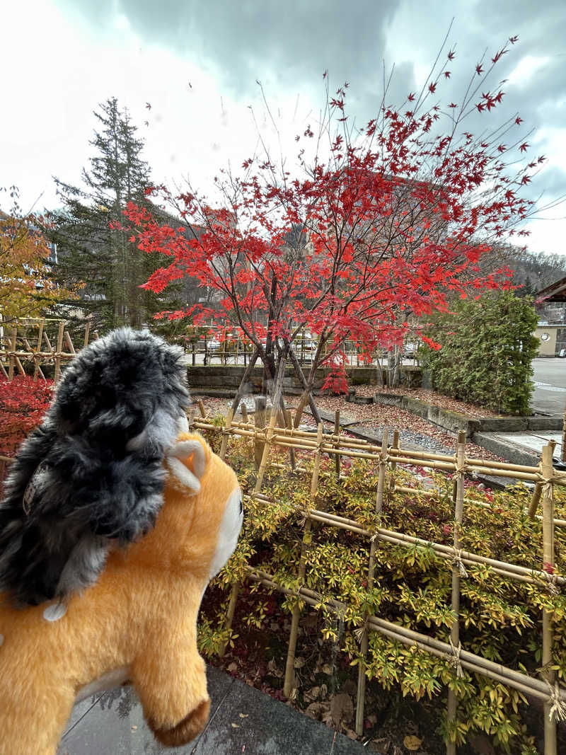 ひぃちゃんさんの定山渓 鹿の湯のサ活写真