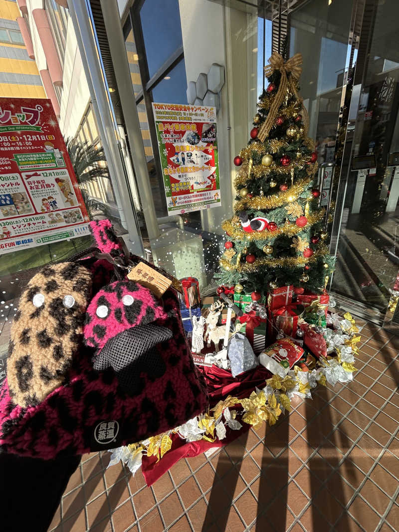 ひぃちゃんさんの天然温泉 平和島のサ活写真