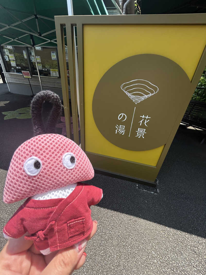 ひぃちゃんさんのよみうりランド眺望温泉 花景の湯のサ活写真