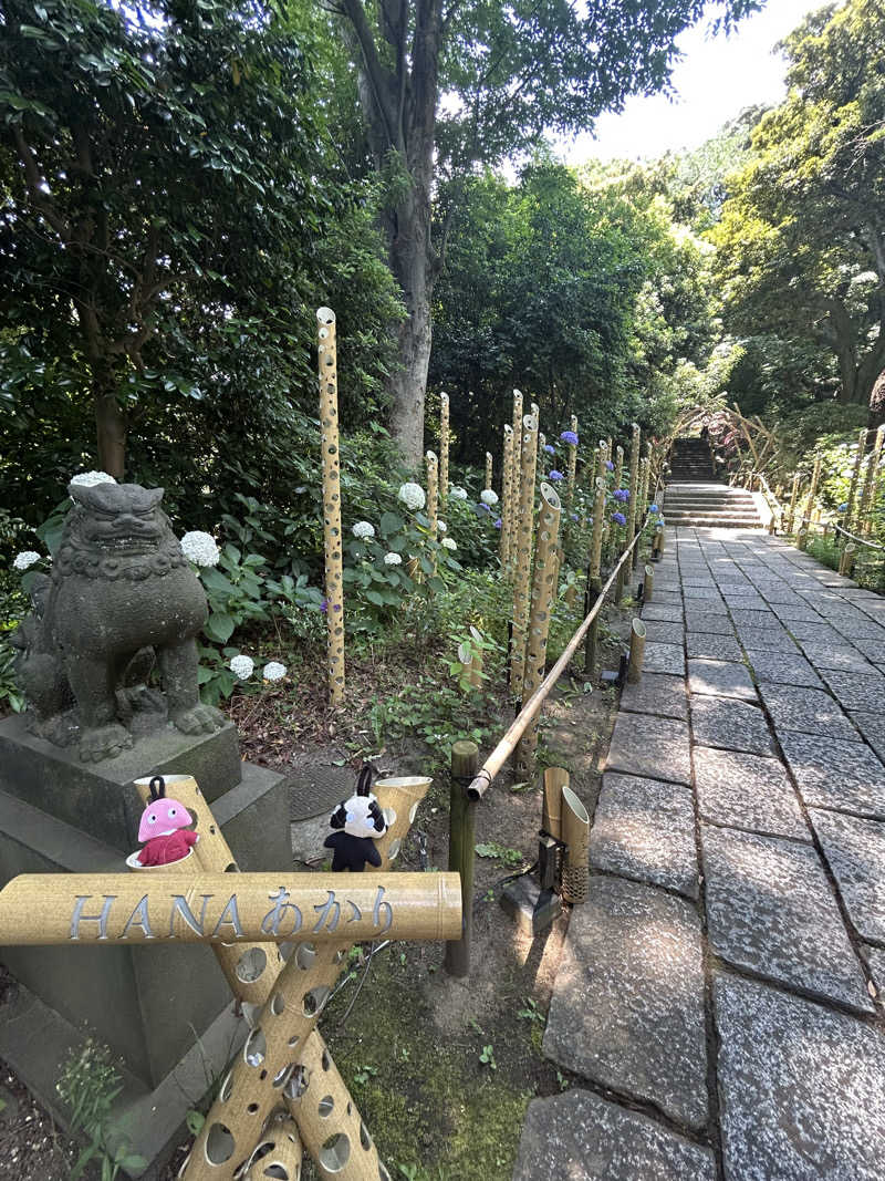 ひぃちゃんさんのよみうりランド眺望温泉 花景の湯のサ活写真