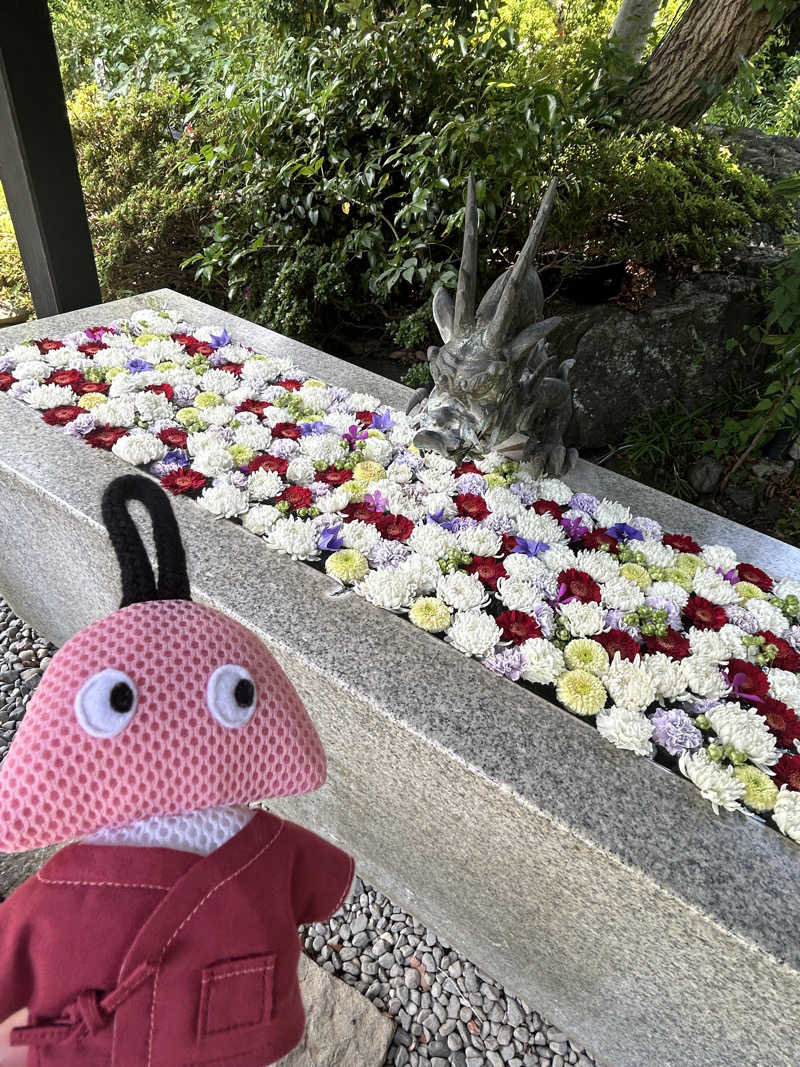 ひぃちゃんさんのよみうりランド眺望温泉 花景の湯のサ活写真
