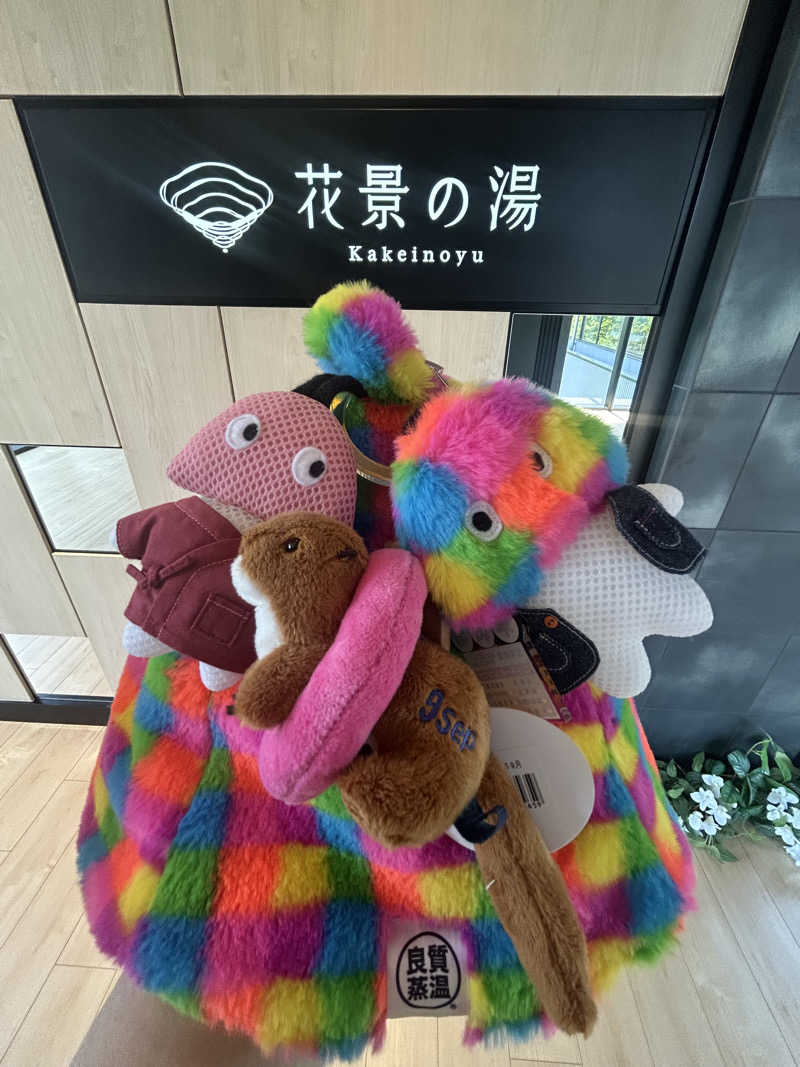 ひぃちゃんさんのよみうりランド眺望温泉 花景の湯のサ活写真