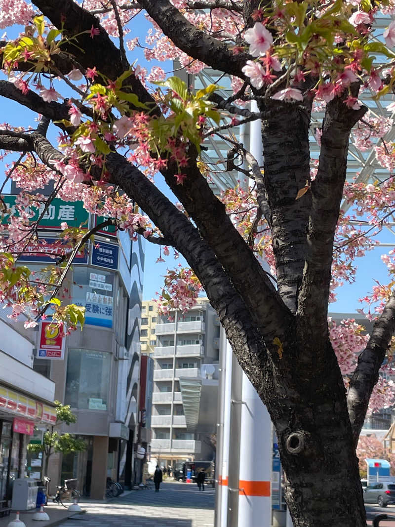 麻呂さんの朝霞サウナ 和(なごみ)のサ活写真