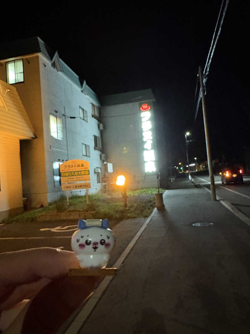 たけさんのフロンティア フラヌイ温泉のサ活写真