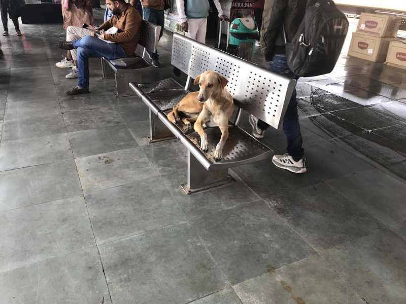 アジア風呂、サウナ研究会さんのDia Park Premier, Gurugramのサ活写真