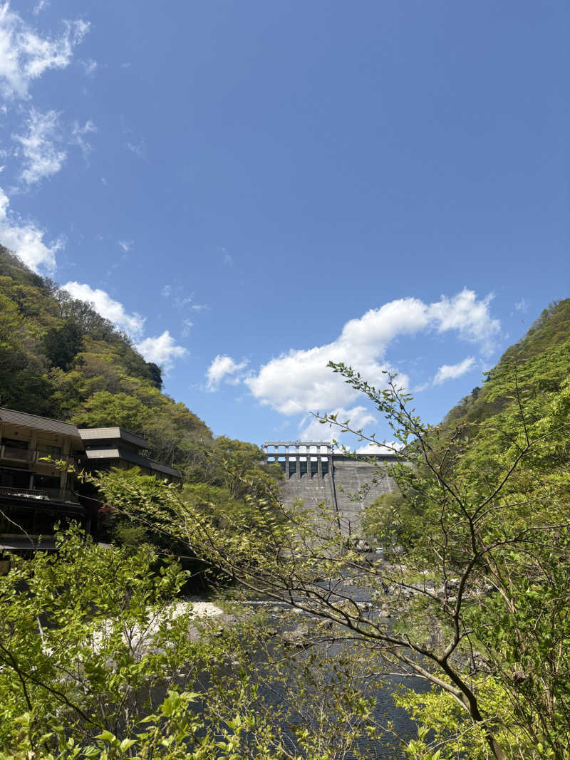 kiiさんの湯原温泉 八景のサ活写真