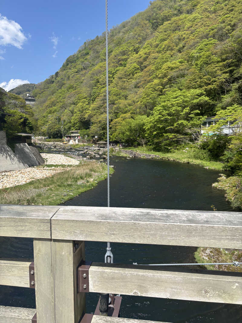 kiiさんの湯原温泉 八景のサ活写真