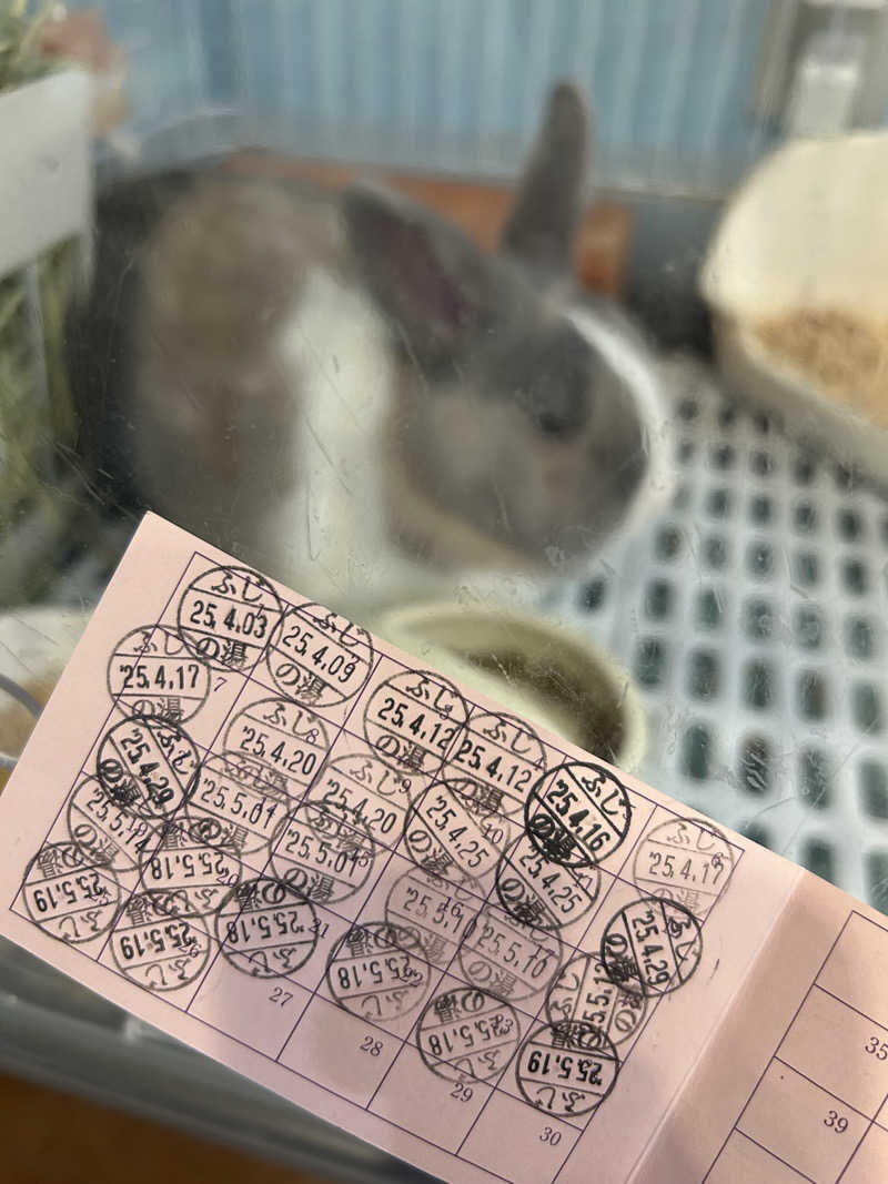 おぷさんのアクアリゾート 岐阜ふじの湯のサ活写真